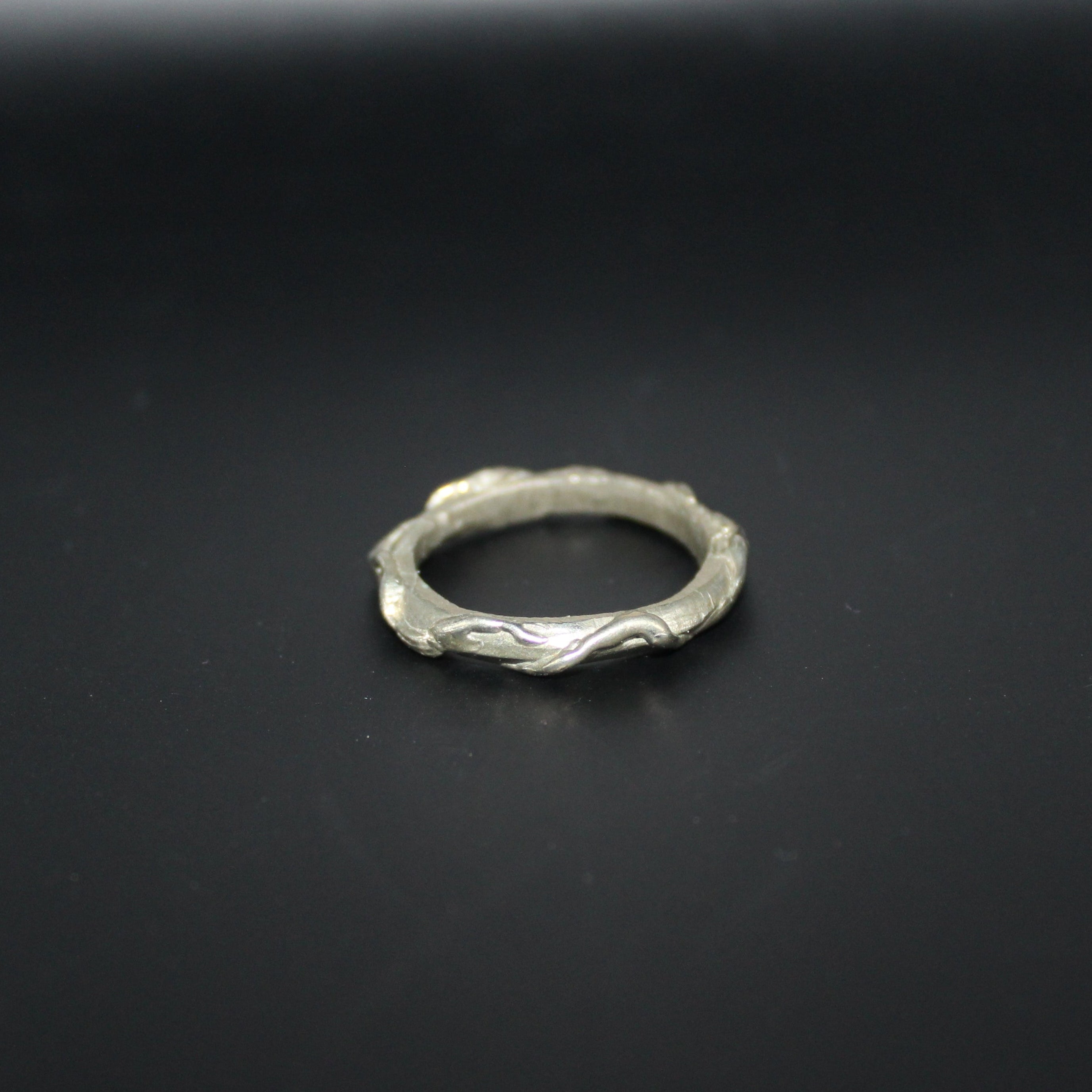 Silver ring on a black background