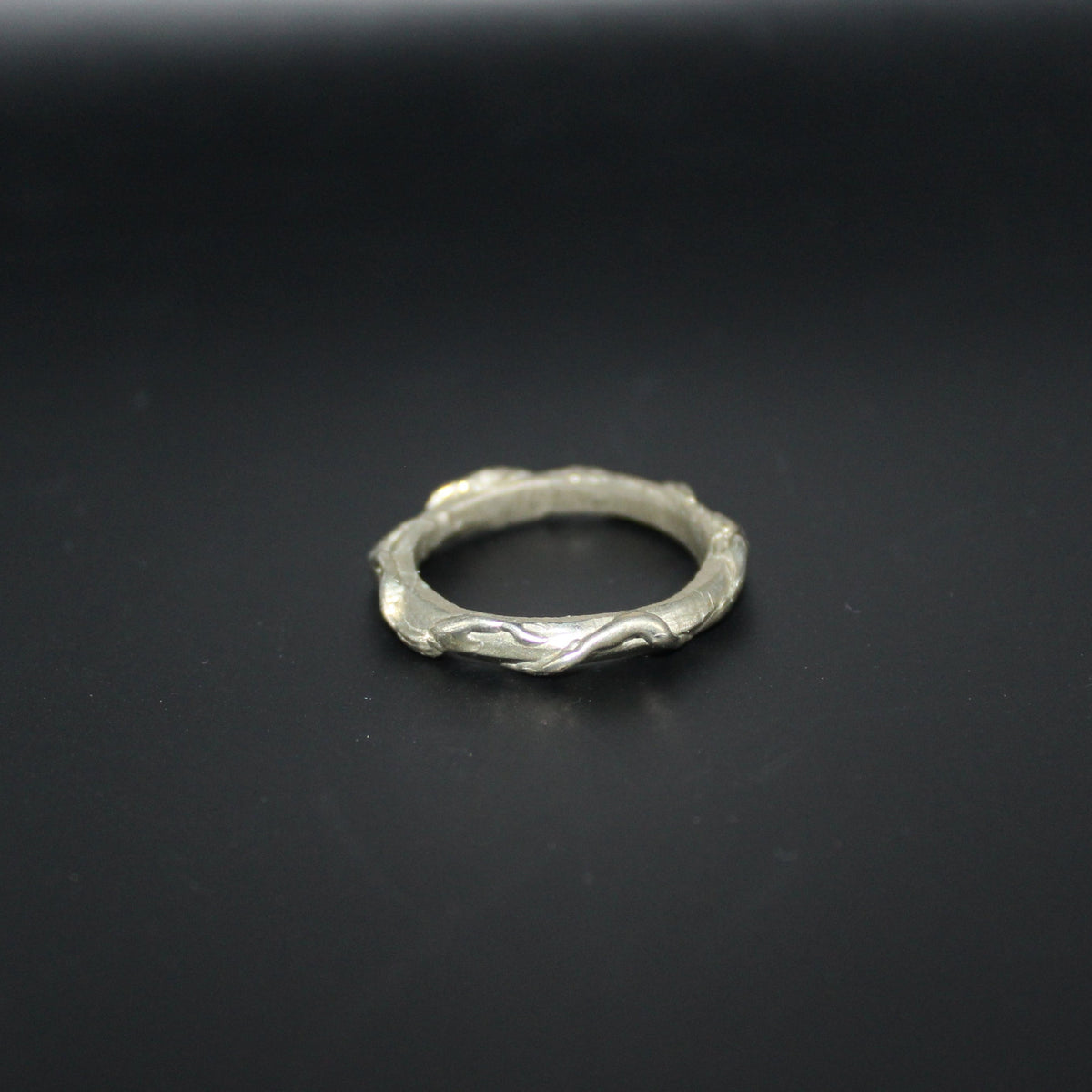 Silver ring on a black background