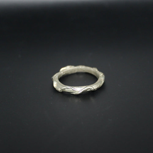 Silver ring on a black background
